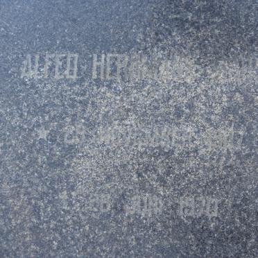 HERMANN Alfed 1907-1970