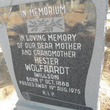 WOLFAARDT Hester nee WILLSON 1888-1975
