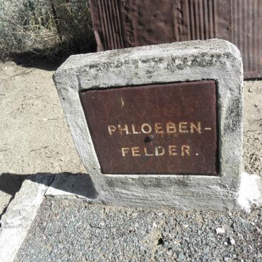 OEBENFELDER P.H.L.