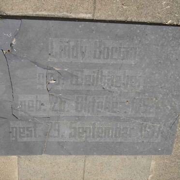 BOCIAN Liddy nee WEILBUCHER 1892-1917