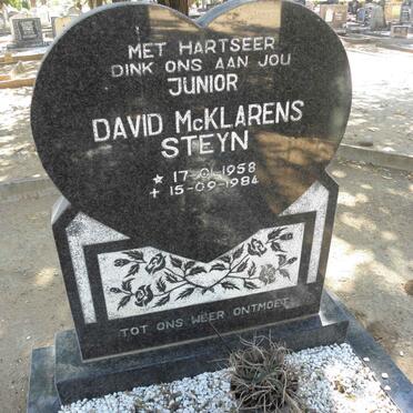 STEYN David McKlarens 1958-1984