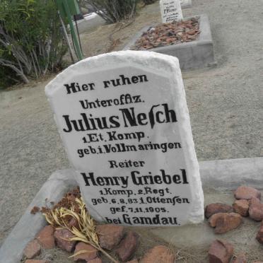 N - Vanne :: Surnames - N