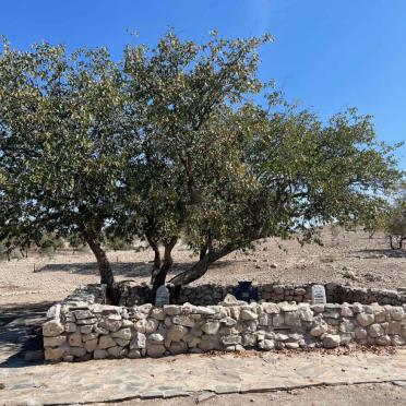 2. Overview / Oorsig