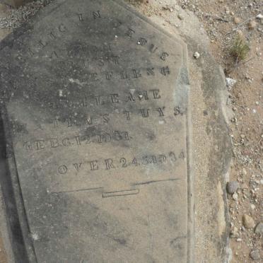 BUYS Guileame Mathys 1931-1934