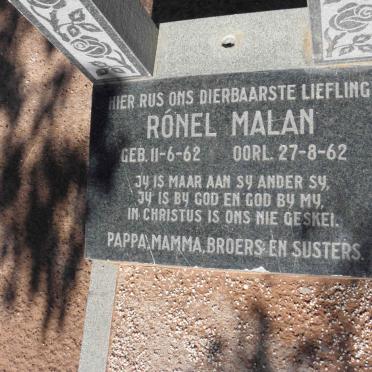 MALAN Ronel 1962-1962