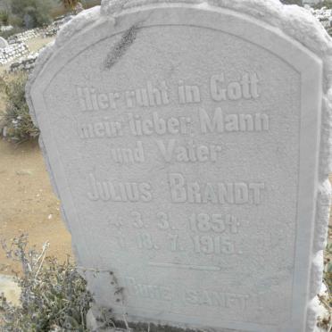 BRANDT Julius 1854-1915