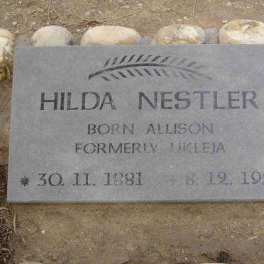 N - Vanne :: Surnames - N