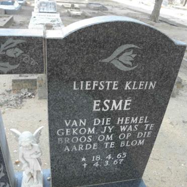 BERGH Esme 1965-1967