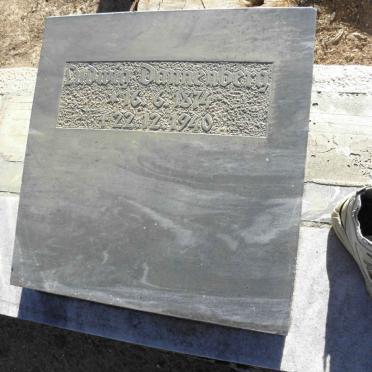 DANNENBERG Ludwig 1874-1940