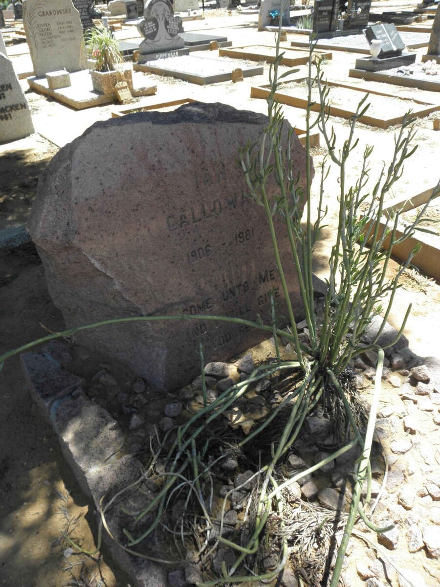 GALLOWAY Ian 1906-1981