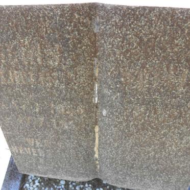 GENIS Wilhelmina 1956-1956