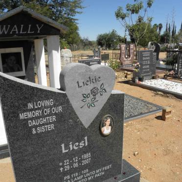 GODENSCHWEIS Liesl 1985-2007