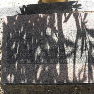 KOLLE Carl August Leonhard 1876-1948