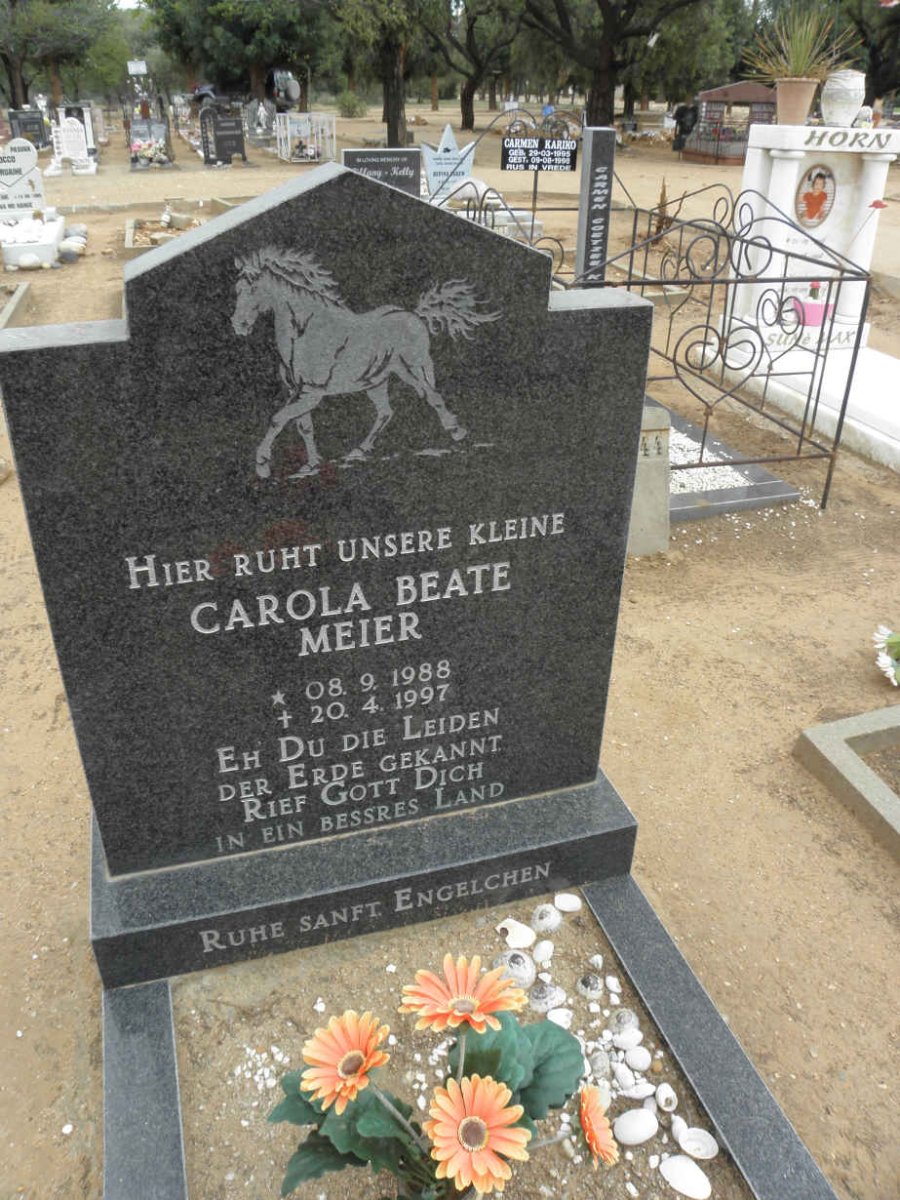 MEIER Carola Beate 1988-1997