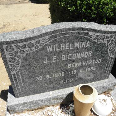 O'CONNOR Wilhelmina J.E. nee HARTOG 1900-1965
