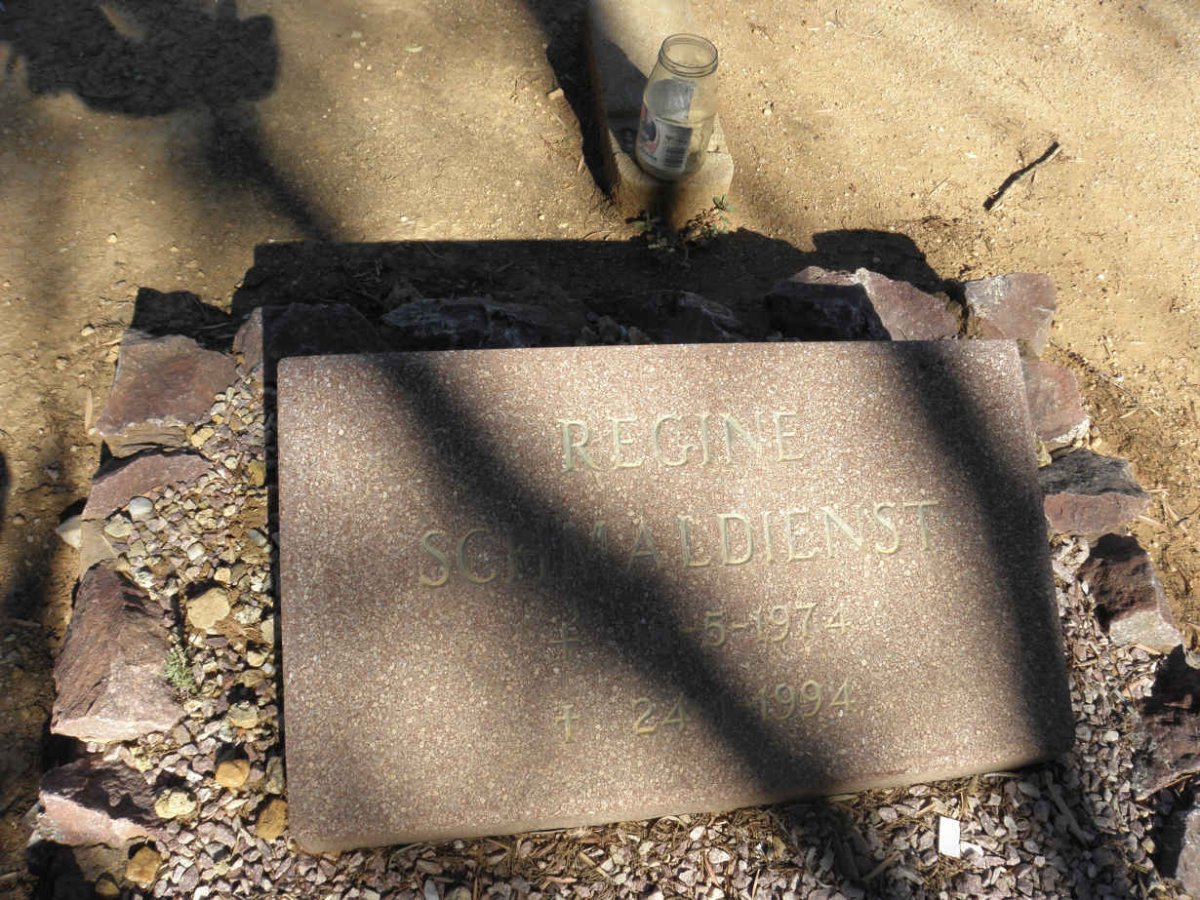 SCHMALDIENST Regine 1974-1994