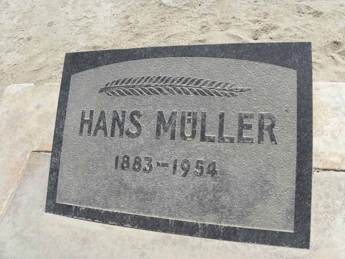 MÜLLER Hans 1883-1954