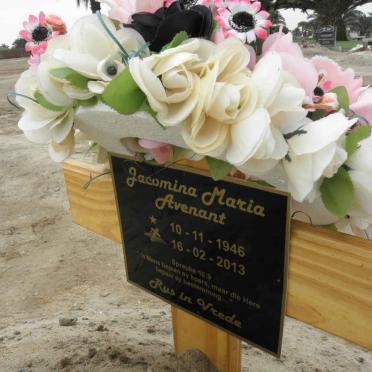 AVENANT Jacomina Maria 1946-2013