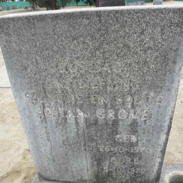 GROVE Johan 1970-1972