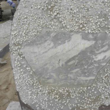 MARTINS J.L. 1930-1981