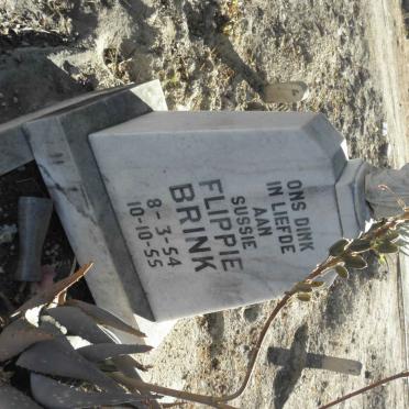 BRINK Flippie 1954-1955