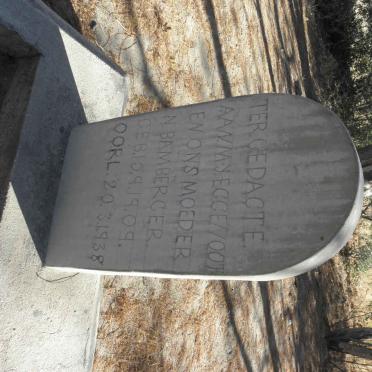 BAMBERGER N. 1909-1938