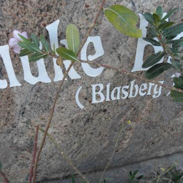 BRENNER Willi 1935-2008 &amp; Frauke BLASBERG 