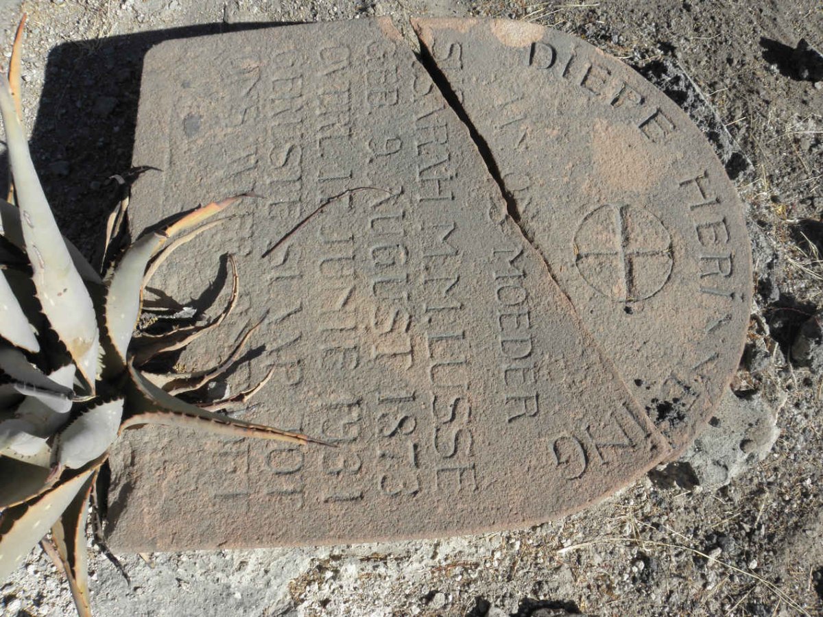 LUSSE Sarah M.M. 1873-1931