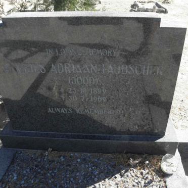 LAUBSCHER Andries Adriaan 1899-1969