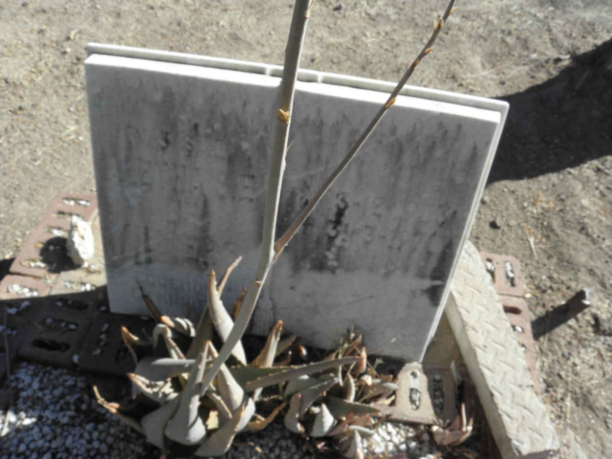 VILLIERS Aletha S.E., de 1903-1970