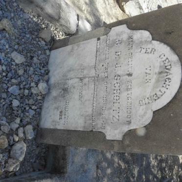 SCHOLTZ G.D.J. 1848-1904