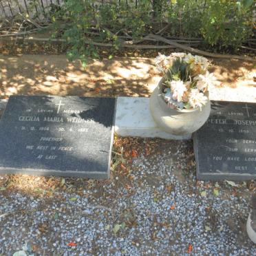 W - Surnames :: Vanne - W