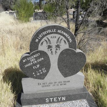 STEYN Flip 1937-1993