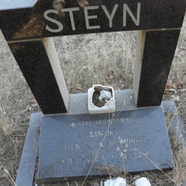 STEYN Morkel 1974-1978