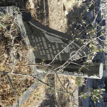 SWIEGERS Jacobus Petrus 1923-1979