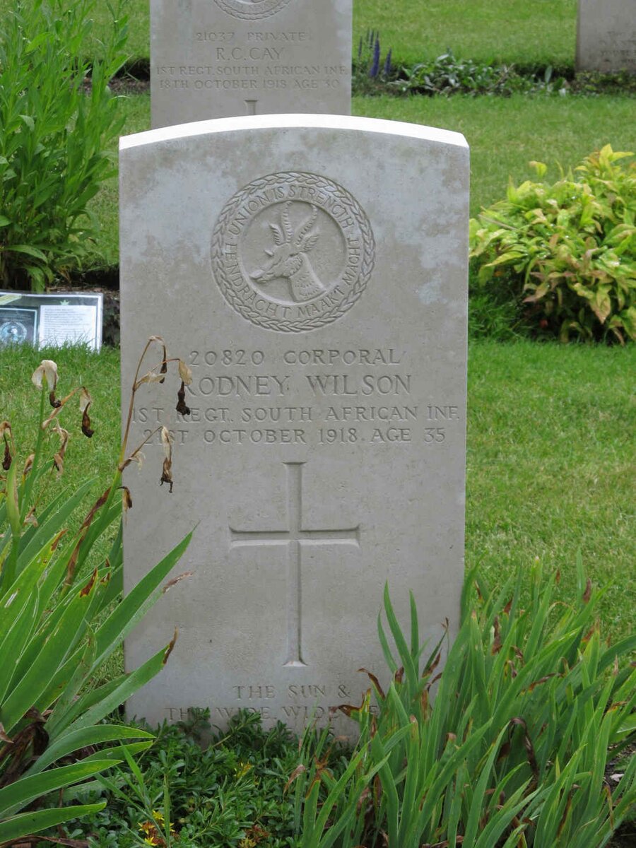 WILSON Rodney  -1918