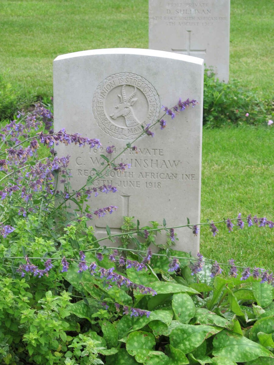 WALKINSHAW C. -1918
