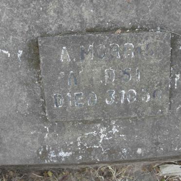 M - Surnames :: Vanne - M