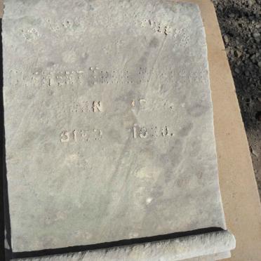 McKENZIE Clement Trail