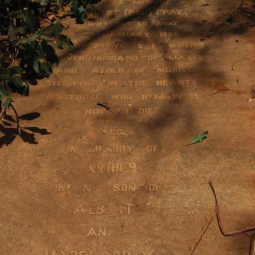 GRAY Albert -1955 :: GRAY Arthur -19??