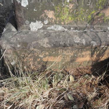 BURGES Dorothea Leavers -191? 