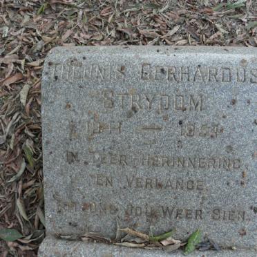 STRYDOM Theunis Gerhardus 1949-1954