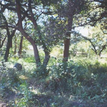 3. Overview / Oorsig