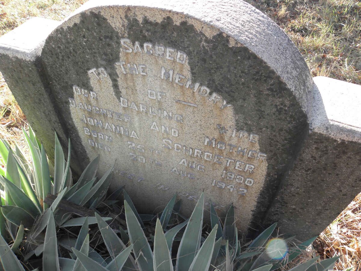 SCHROETER Johanna 1900-1942