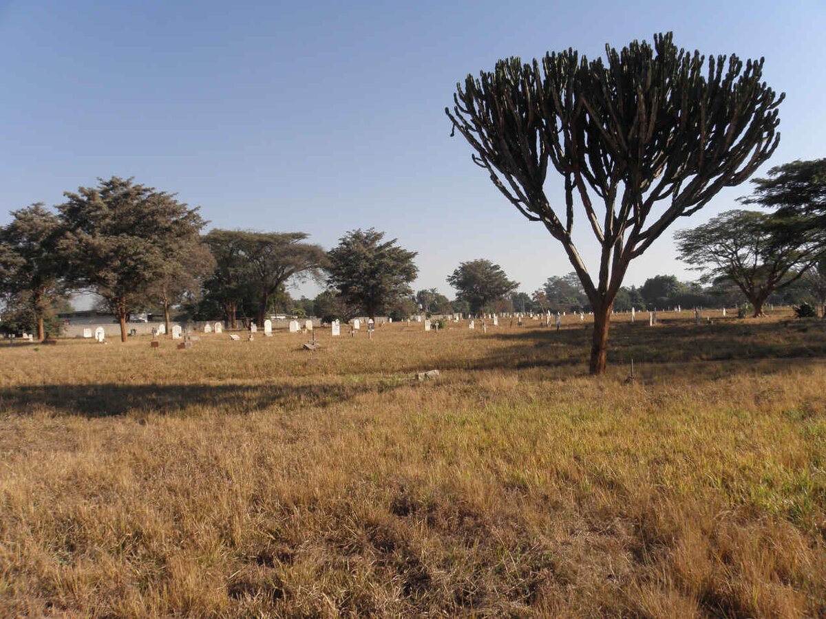 2. Overview / Oorsig