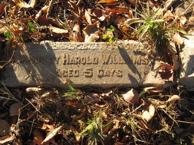 WILLIAMS Robert Harold 