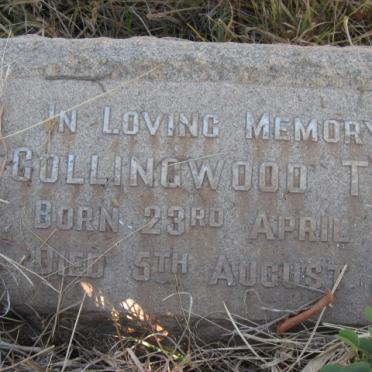 TULLY Collingwood 1887-1953