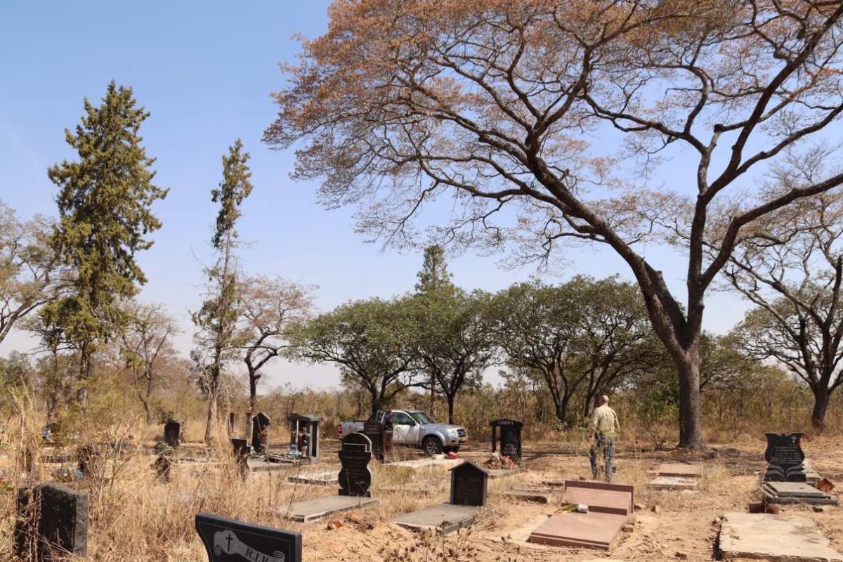 1. Overview / Oorsig