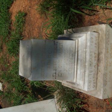 HAASBROEK Johannes Bernardus 1891-1943