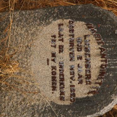 LIEBENBERG Marie Antoinette -1920